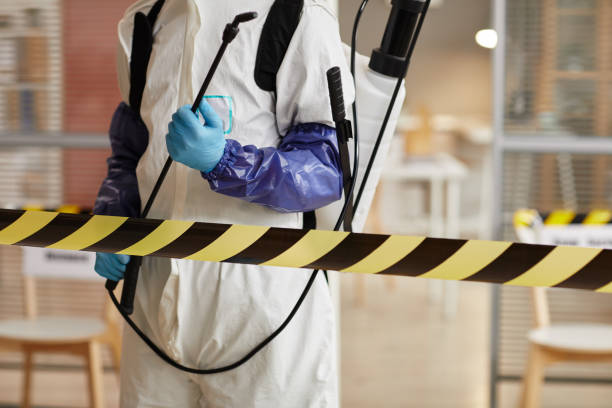 Professional Sewage Cleanup technician working in Franklin Park, FL